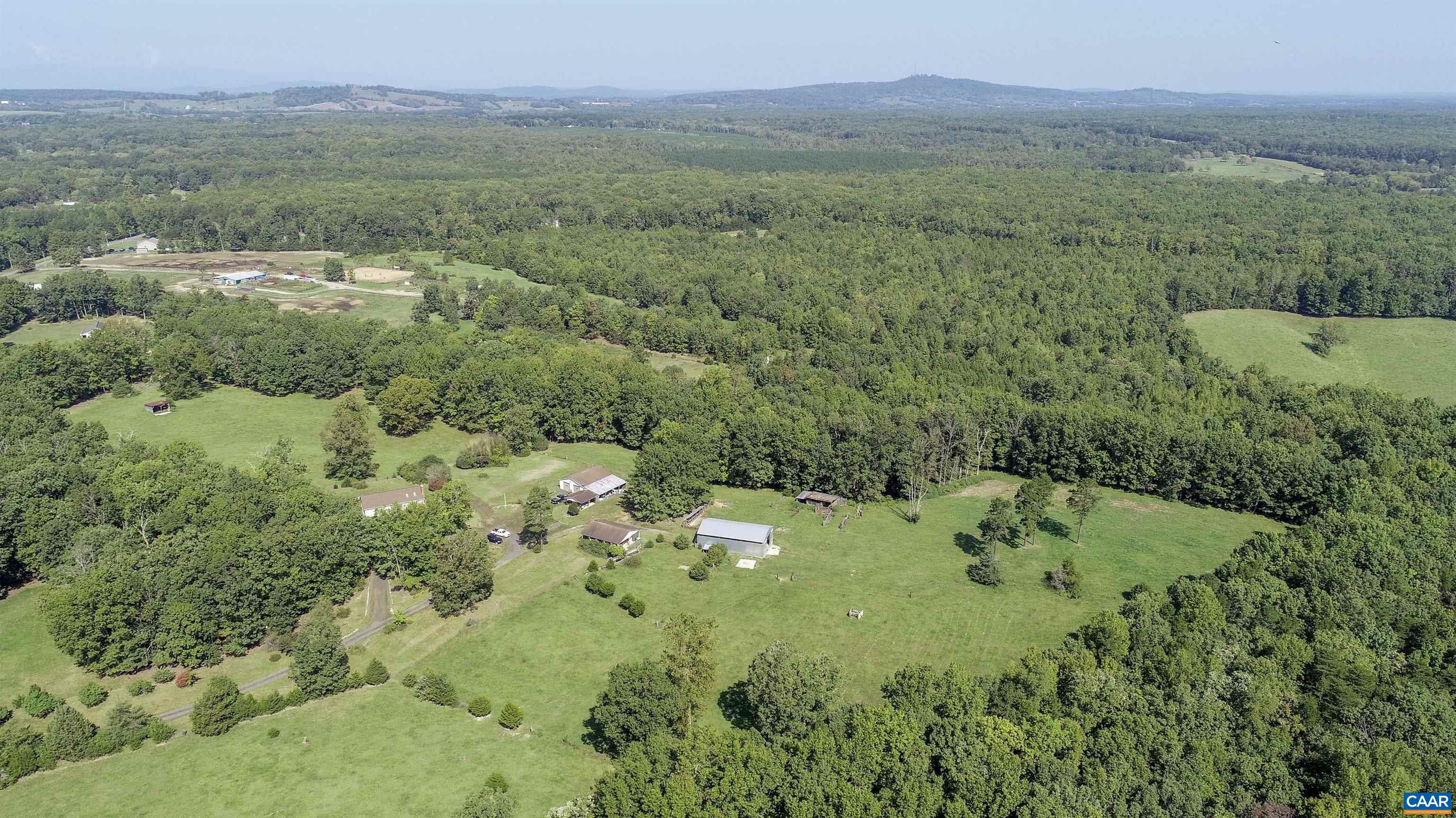 a view of a lush green forest with trees and some houses