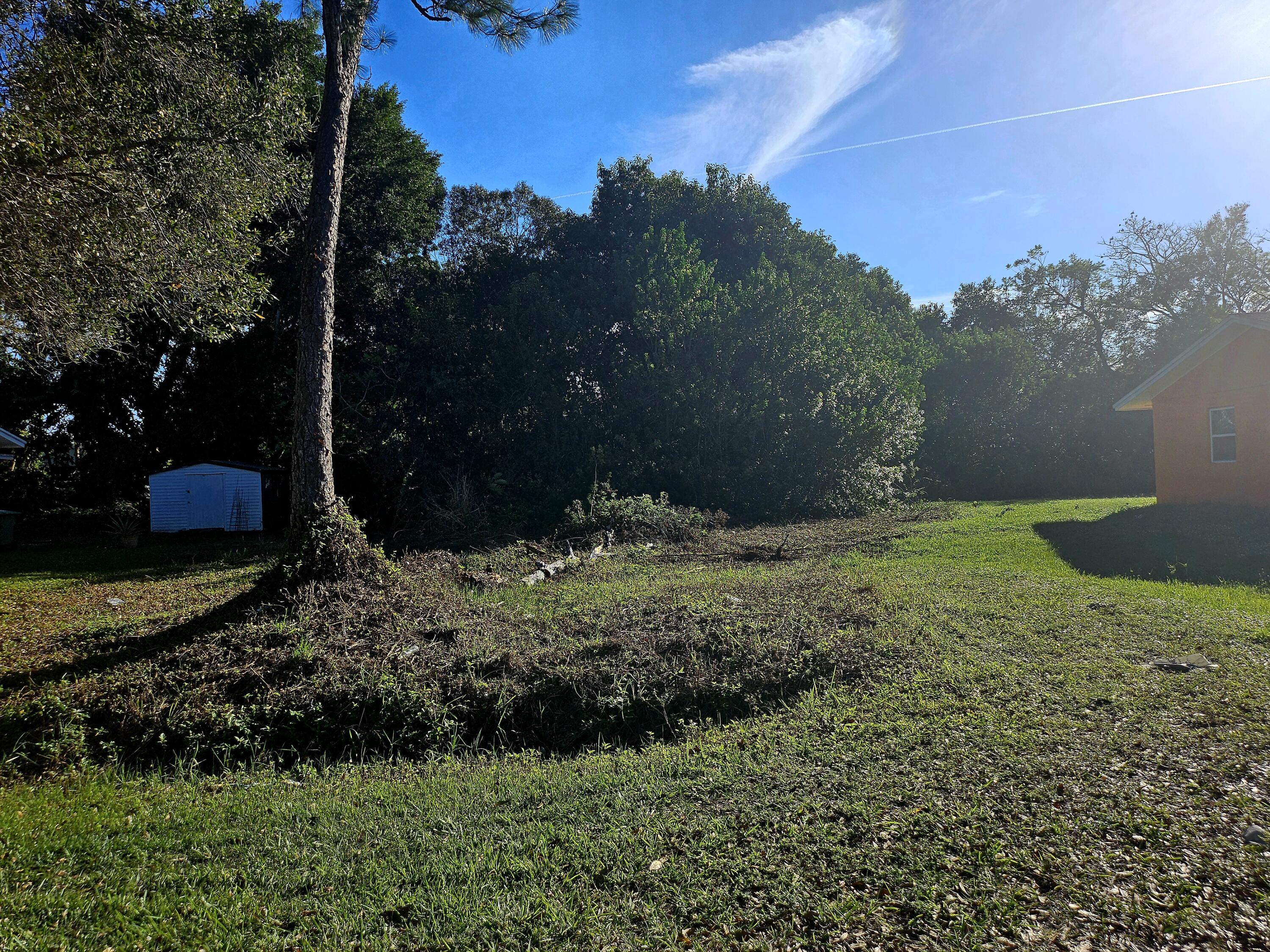 a view of a backyard