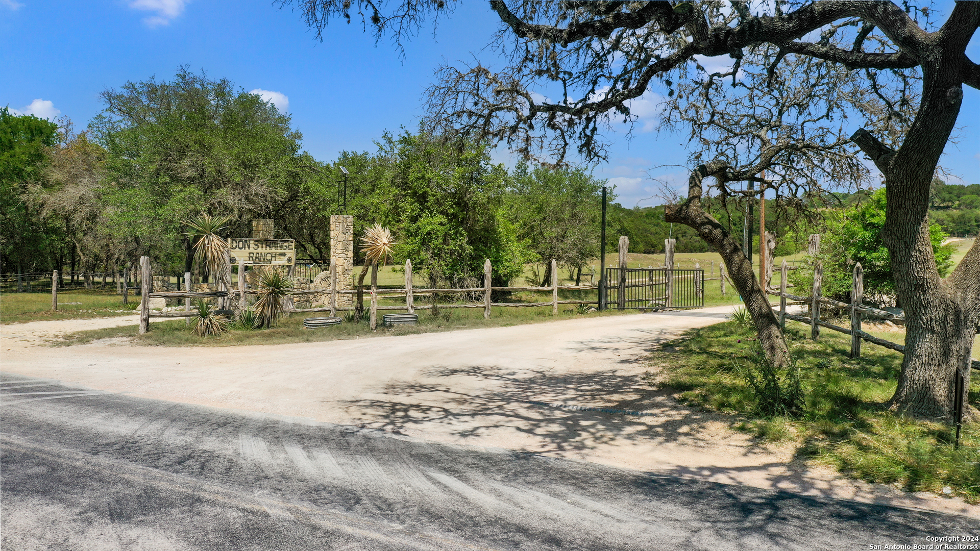 a view of a yard with plants and trees