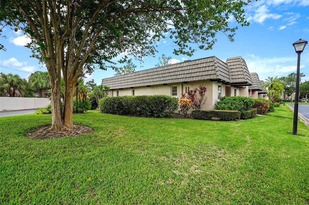 a house that has a tree in it