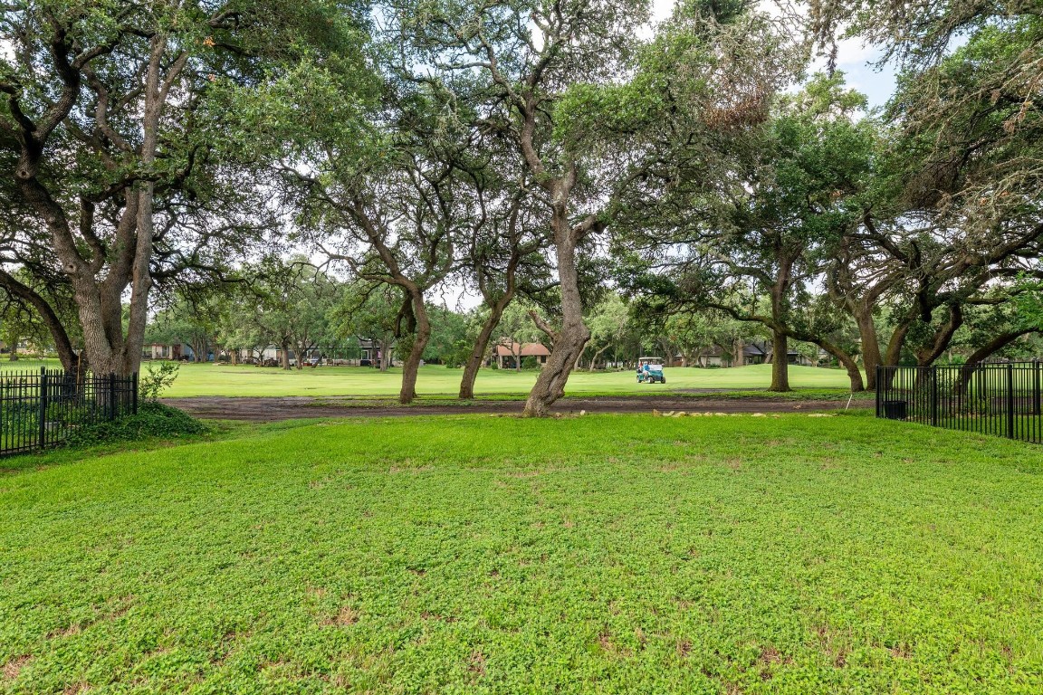 a huge green field with lots of trees