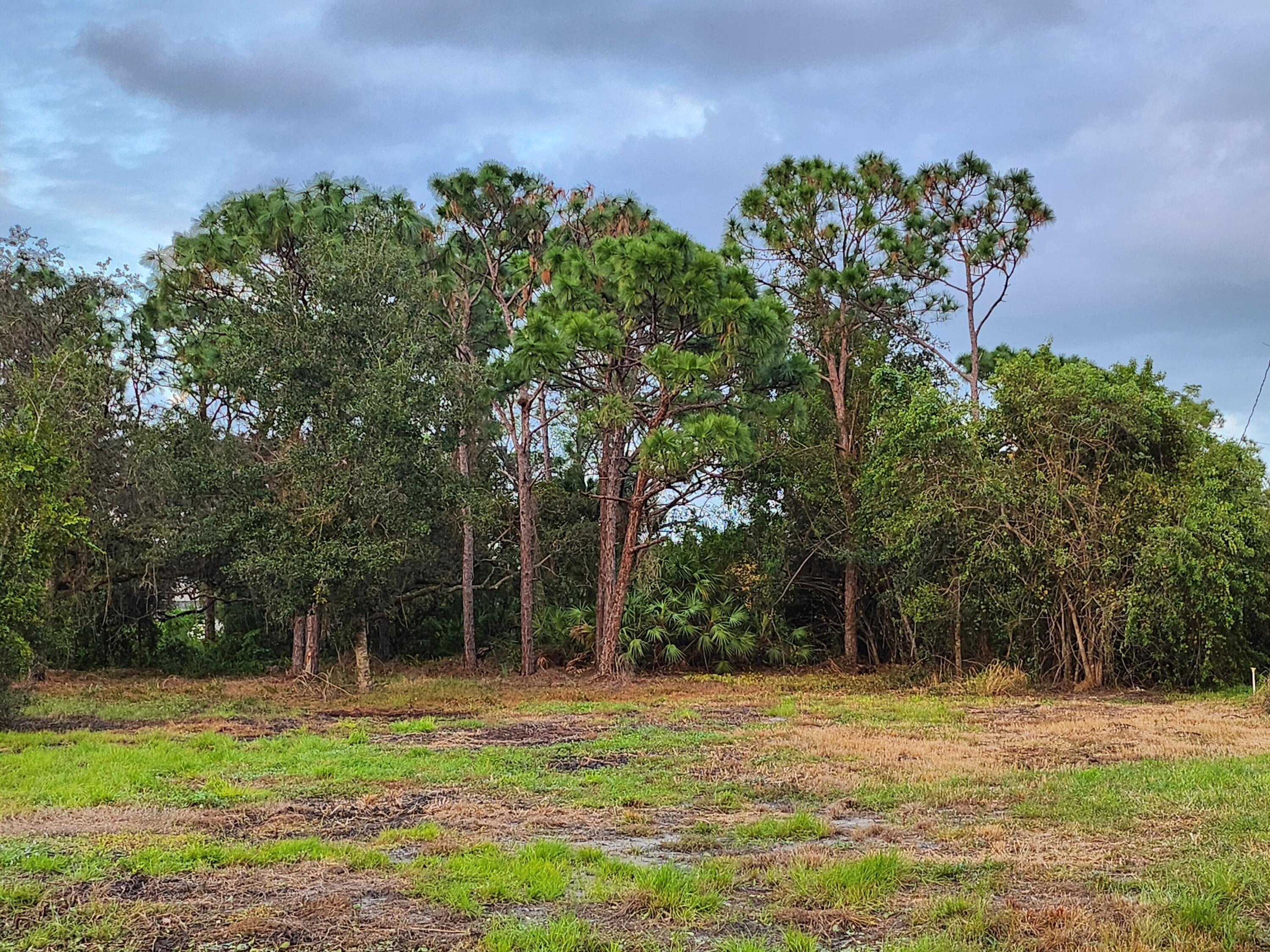 a backyard of a house with lots of green space and trees