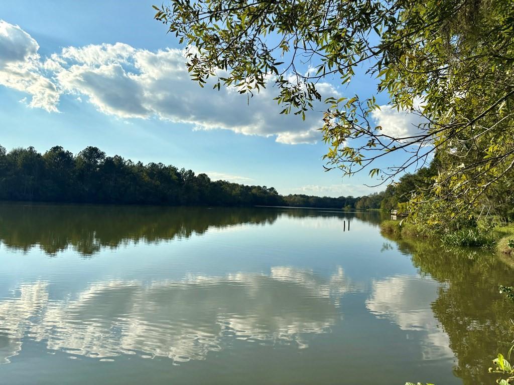 a view of a lake in between two of trees