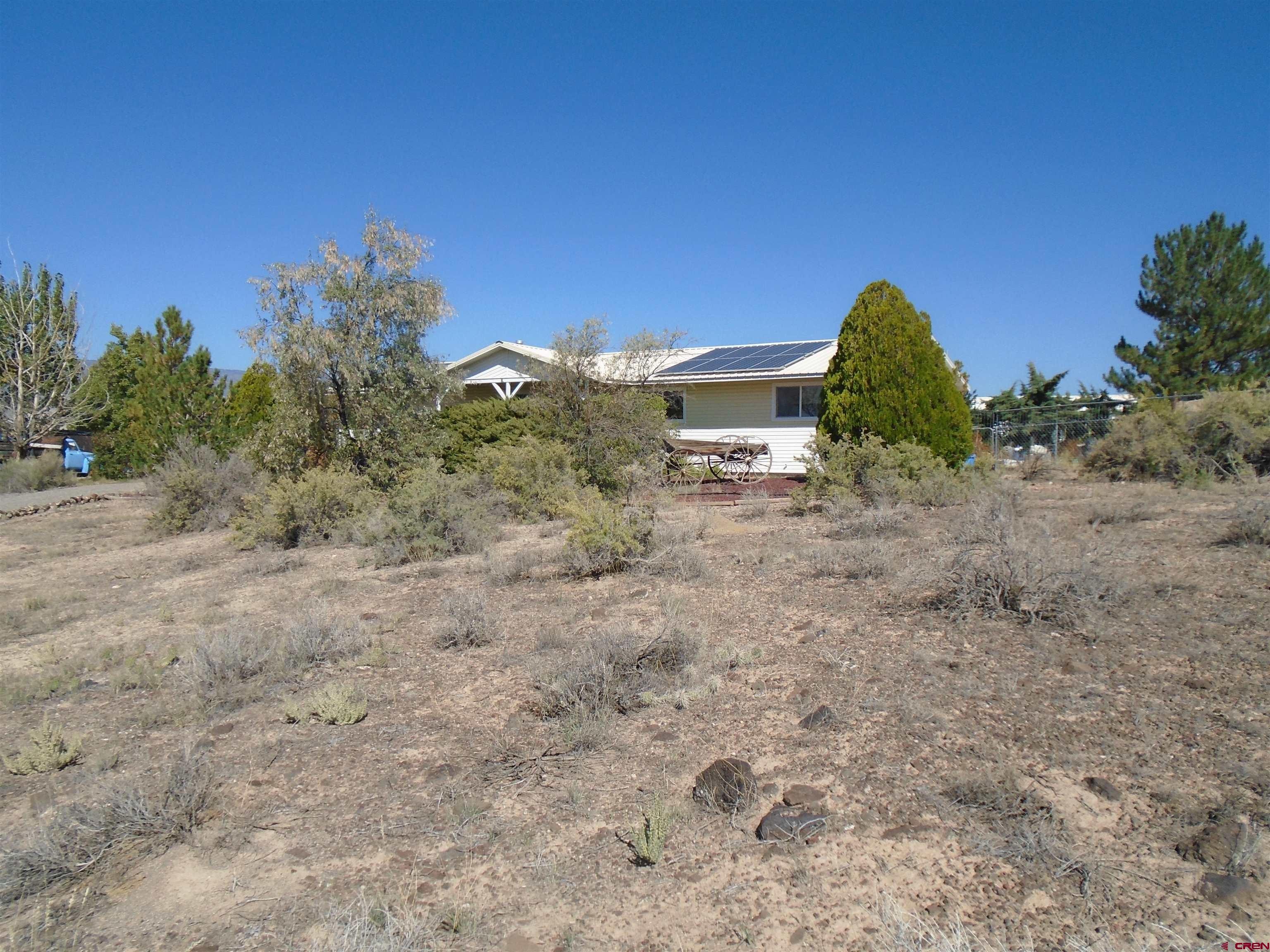 a view of a dry yard with trees