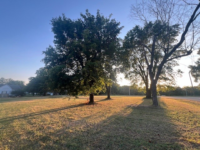 a view of outdoor space with trees