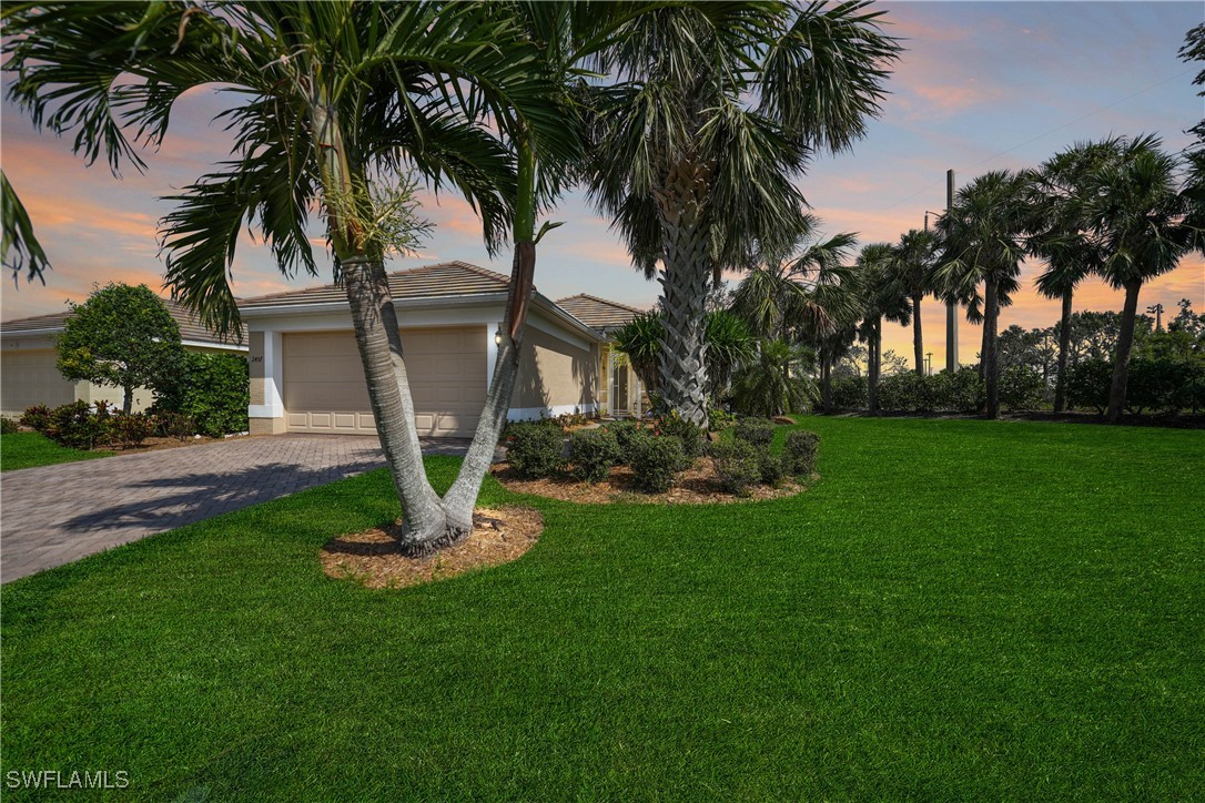 a view of a backyard with palm trees