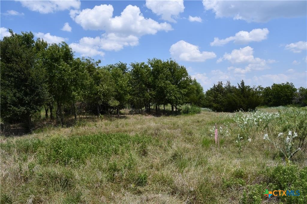 a view of a green field with wooden fence