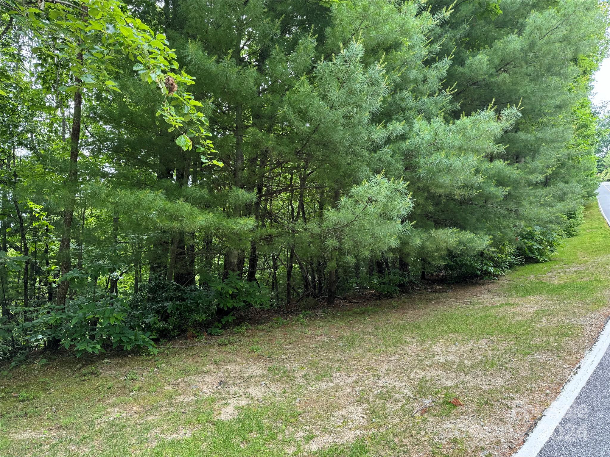 a view of outdoor space and garden