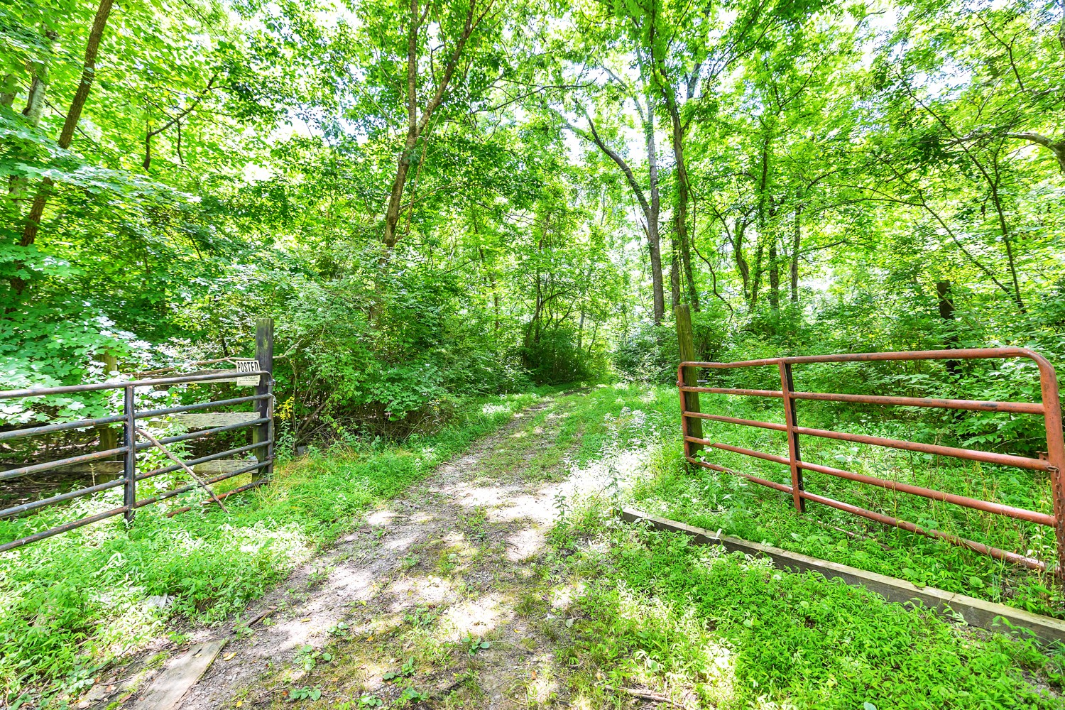 a view of a yard with wooden fence