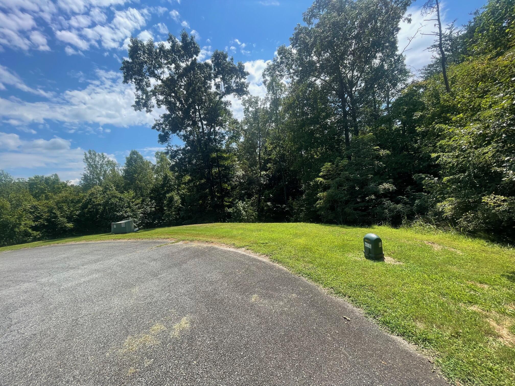 a view of a yard with a slide