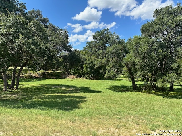 a view of a park