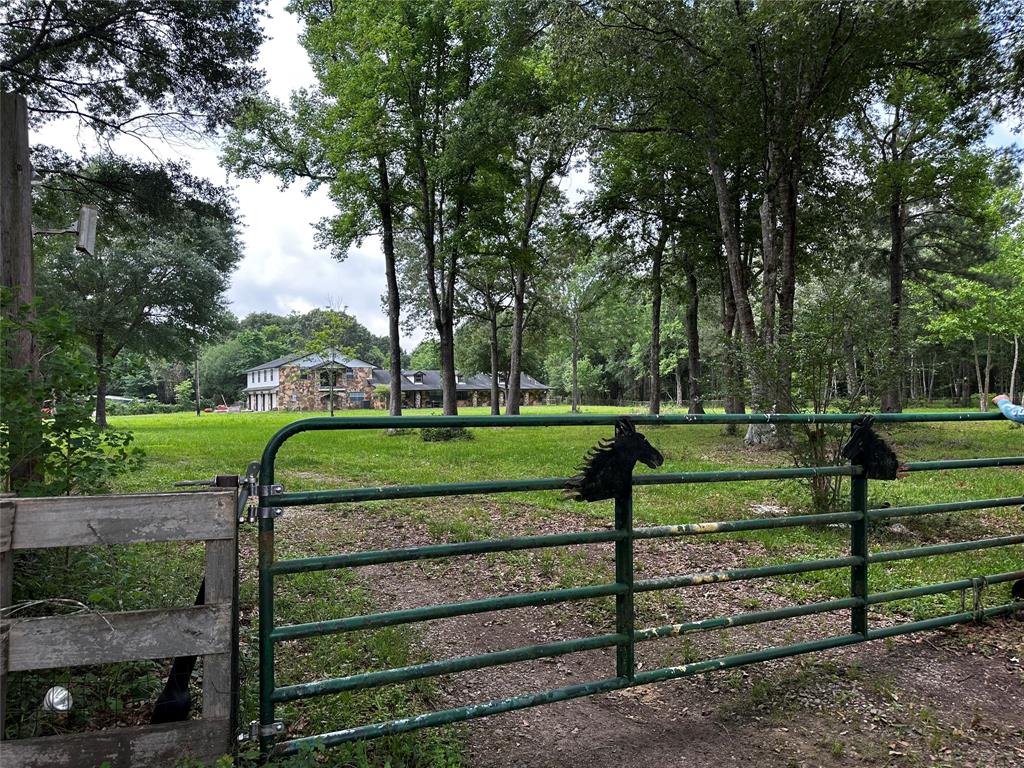 a view of a park with large trees