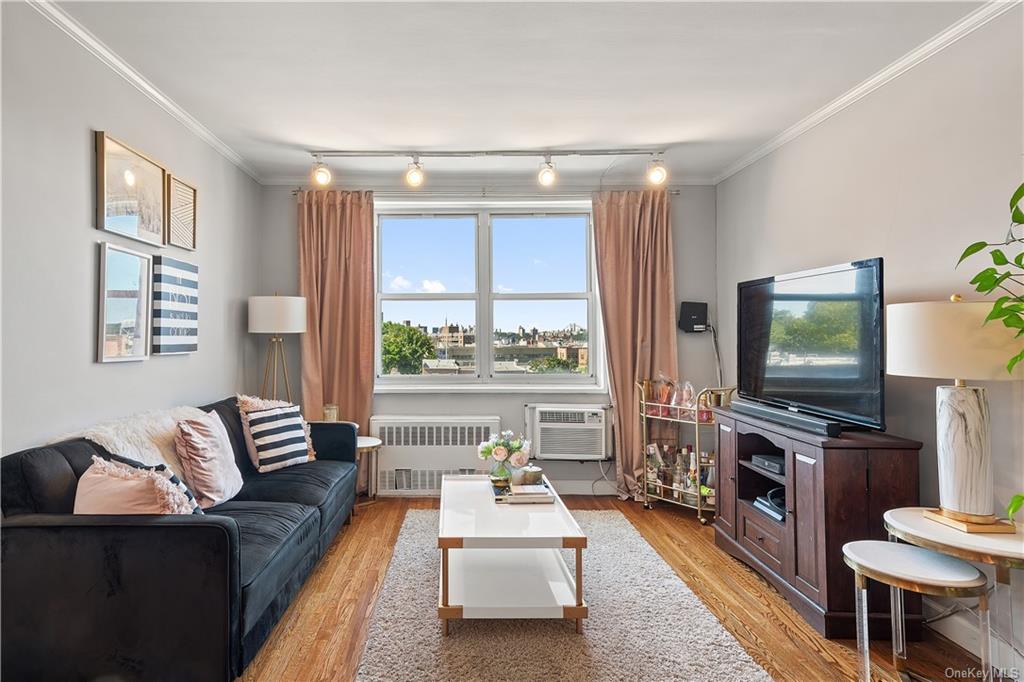 Living room featuring rail lighting, light hardwood / wood-style floors, ornamental molding, and radiator