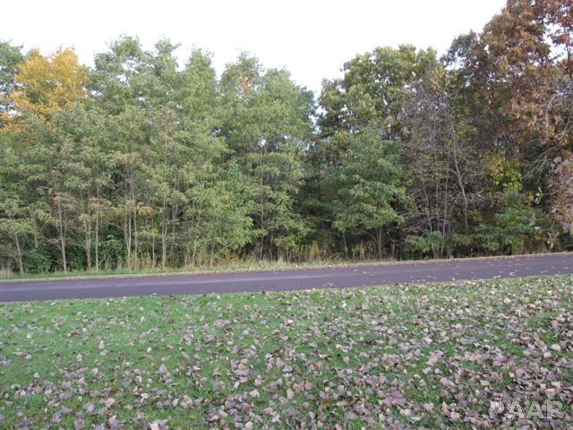 $19,500 | Lot 1 West Schmitt Lane | Kickapoo Township - Peoria County