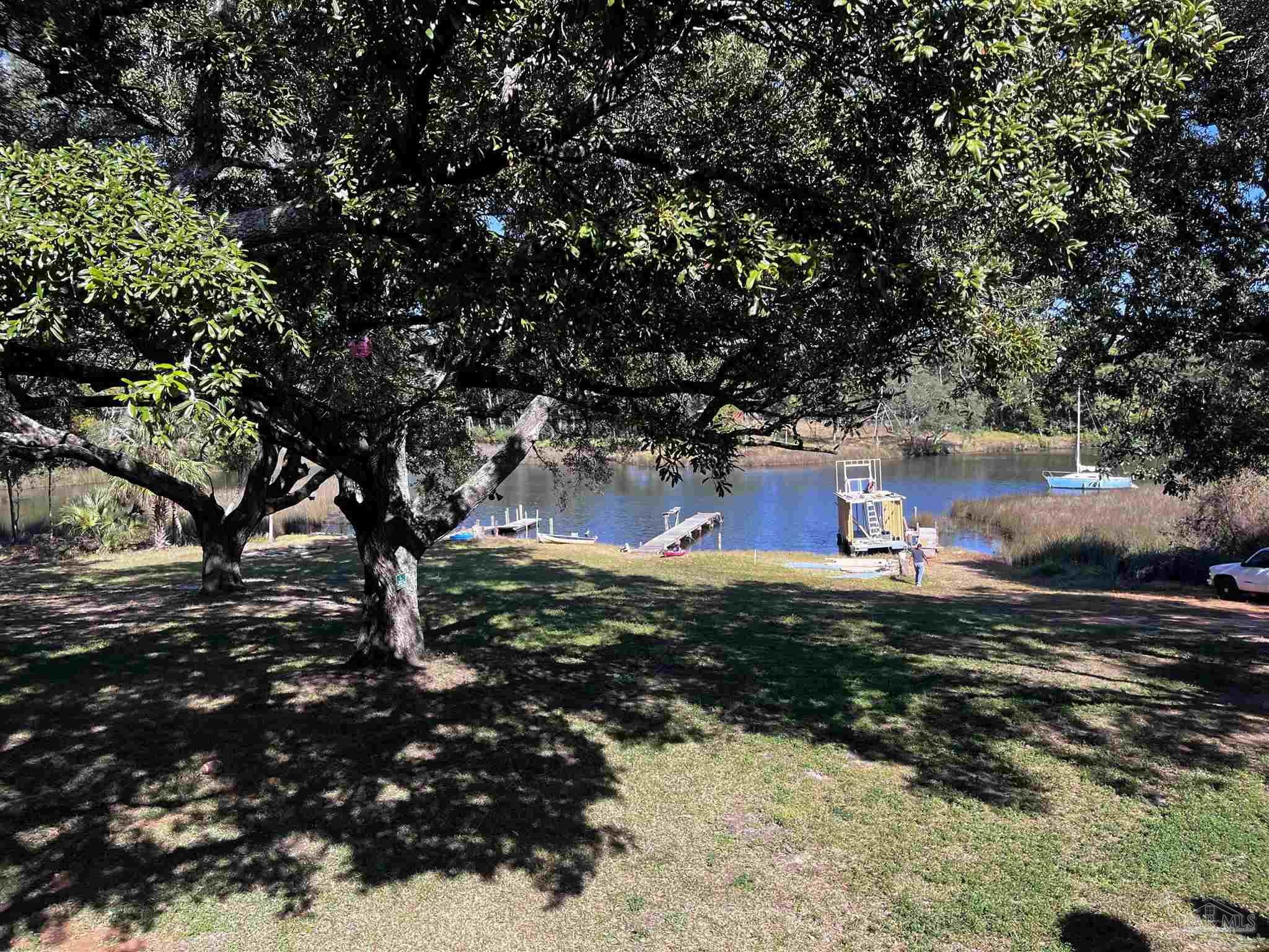 a view of a yard with large trees