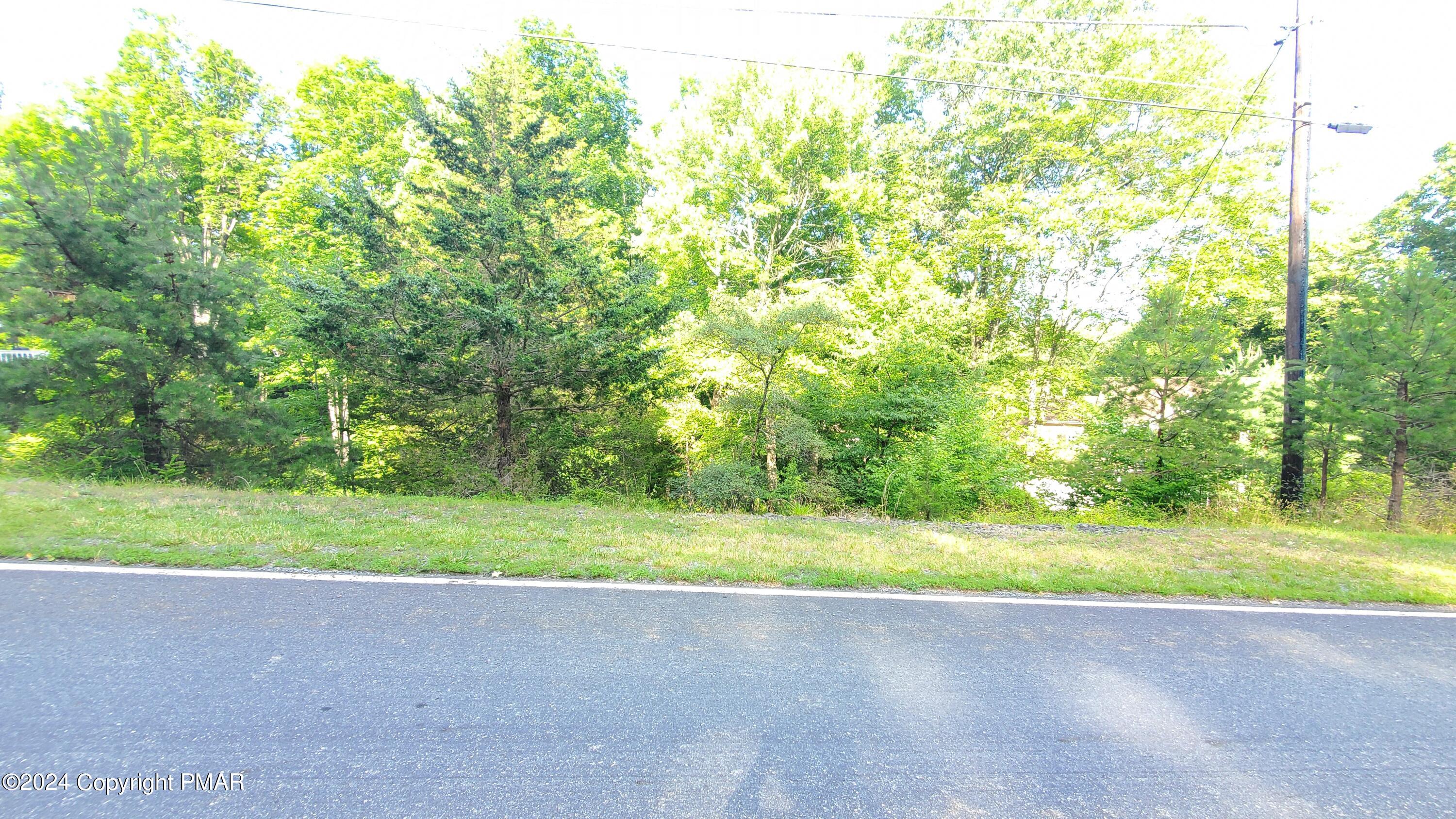 a view of a yard with a trees