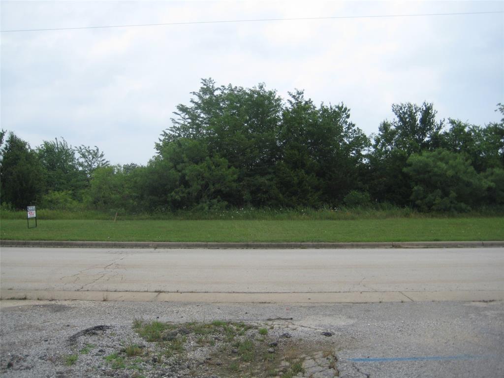 a view of a yard with a large trees