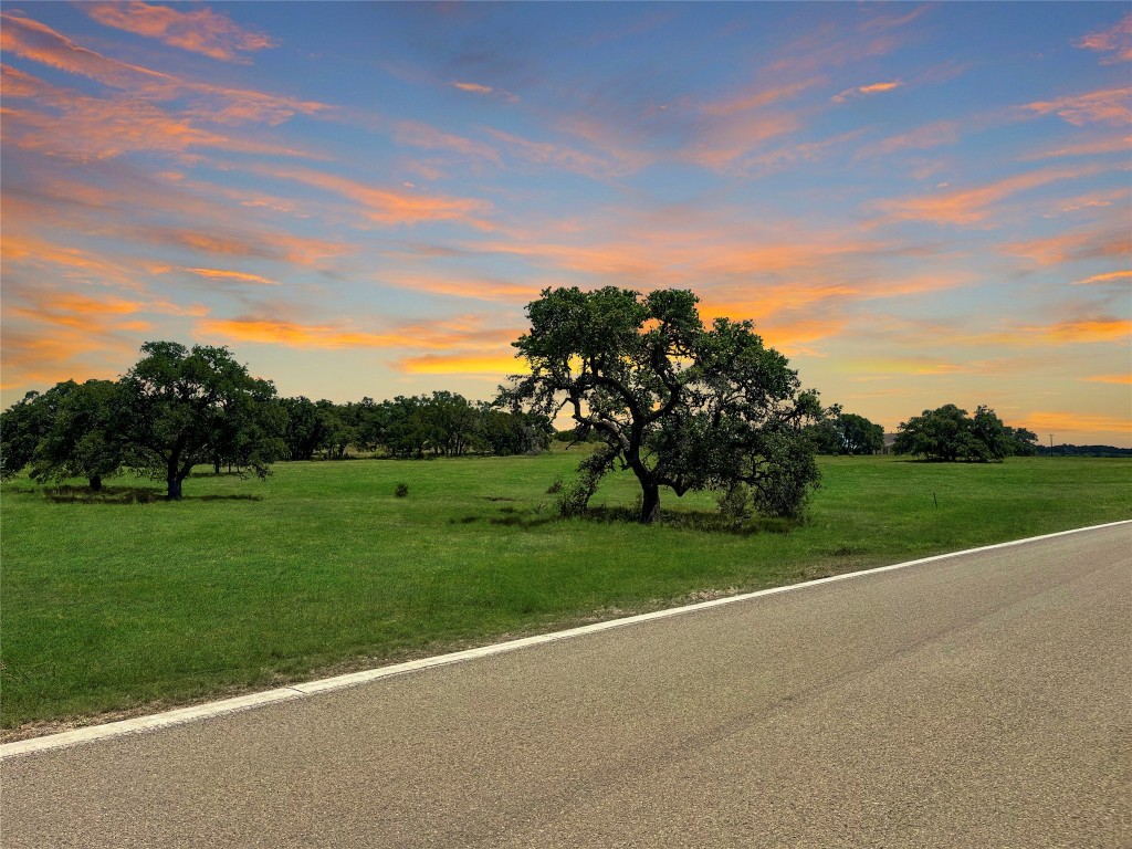 a view of a grassy field with trees