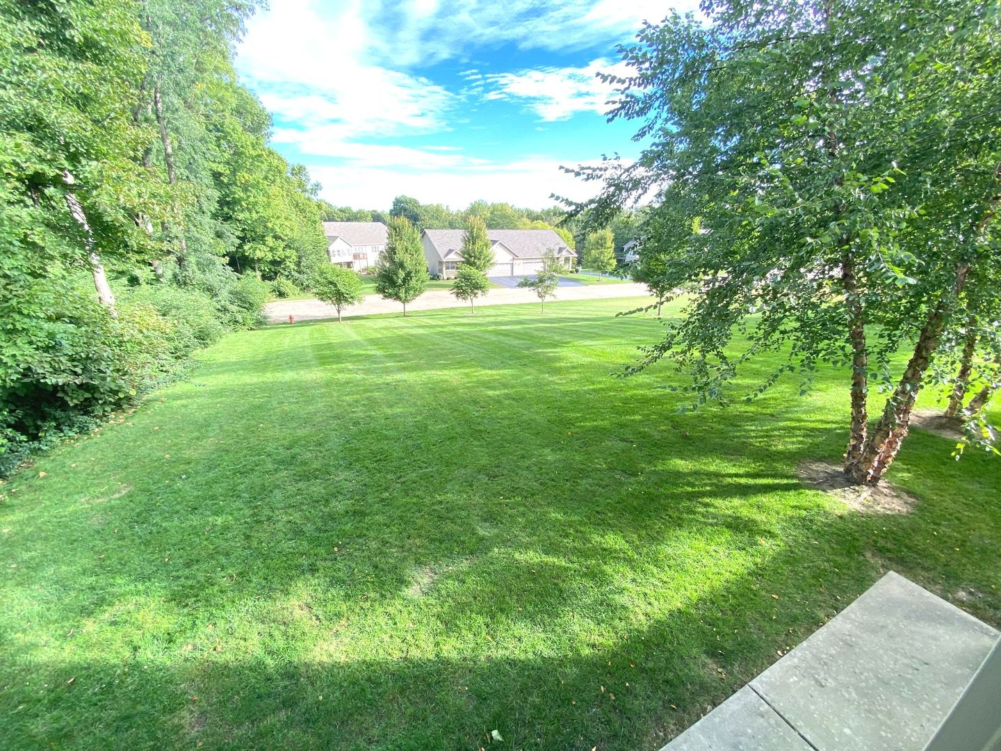 a big yard with lots of green space and plants