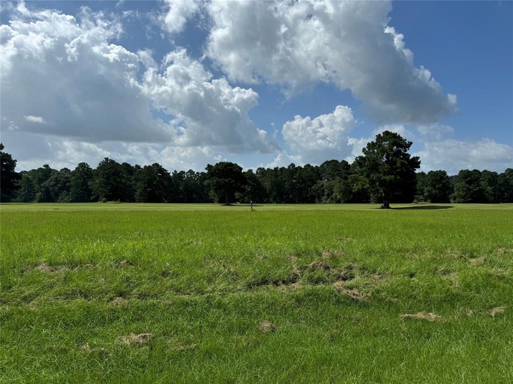 a view of a green field