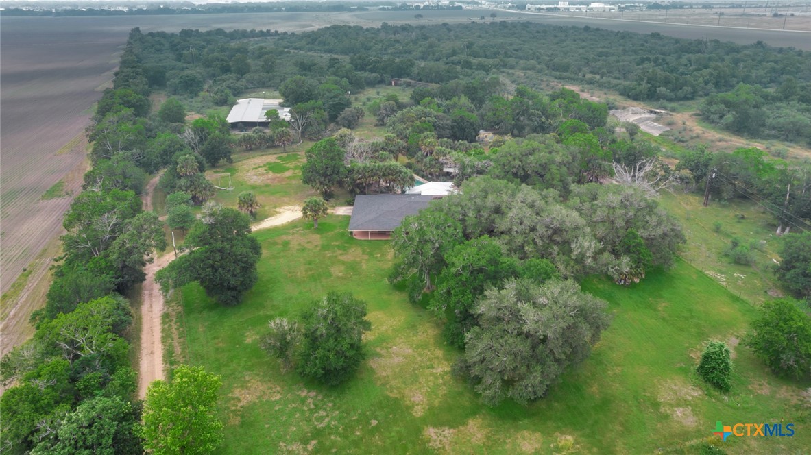 a view of a lush green forest with lots of trees