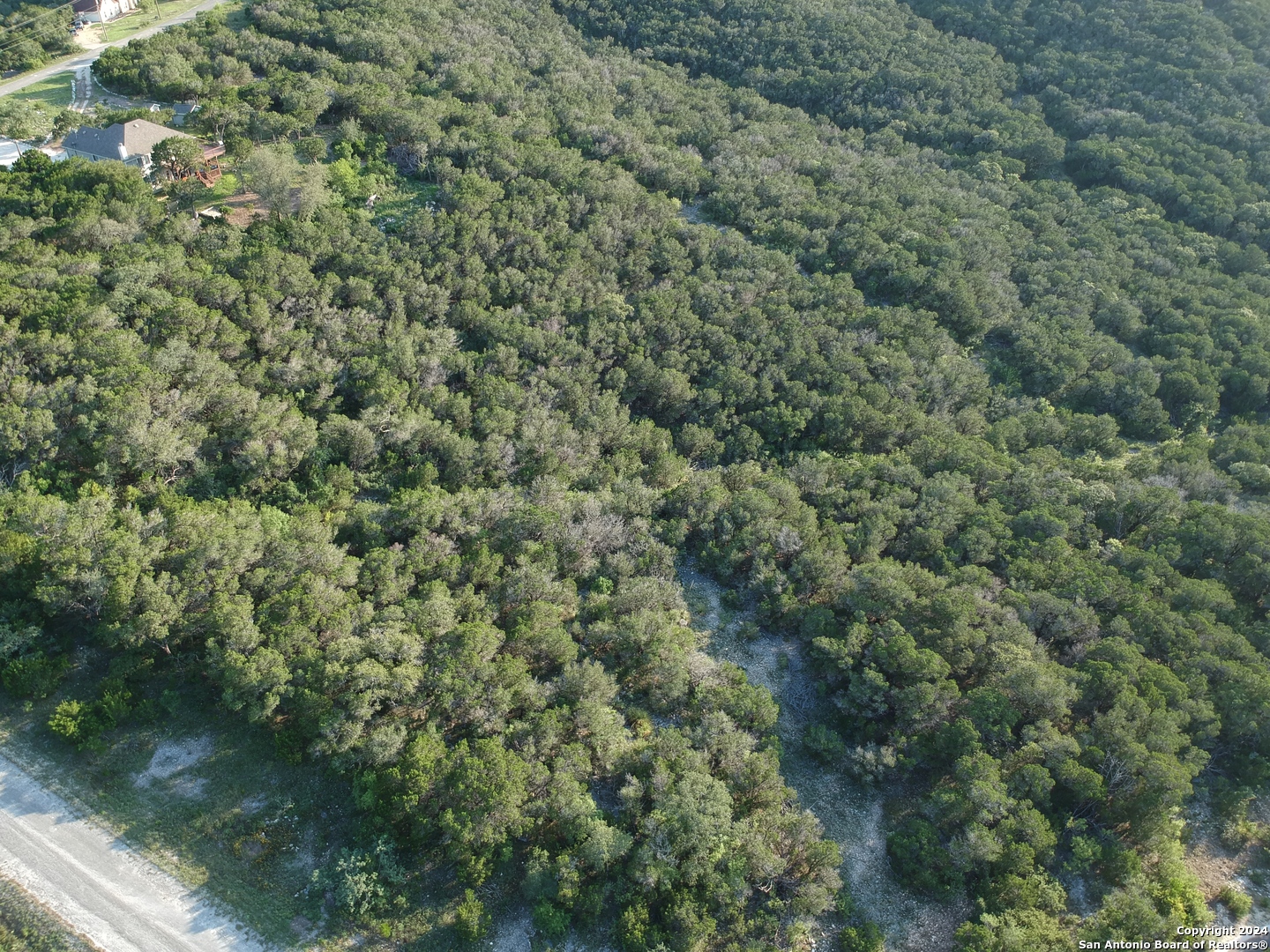 a view of a forest with a houses