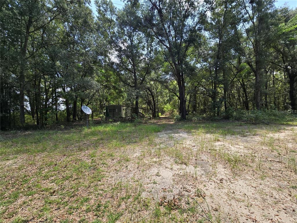 a view of outdoor space with trees