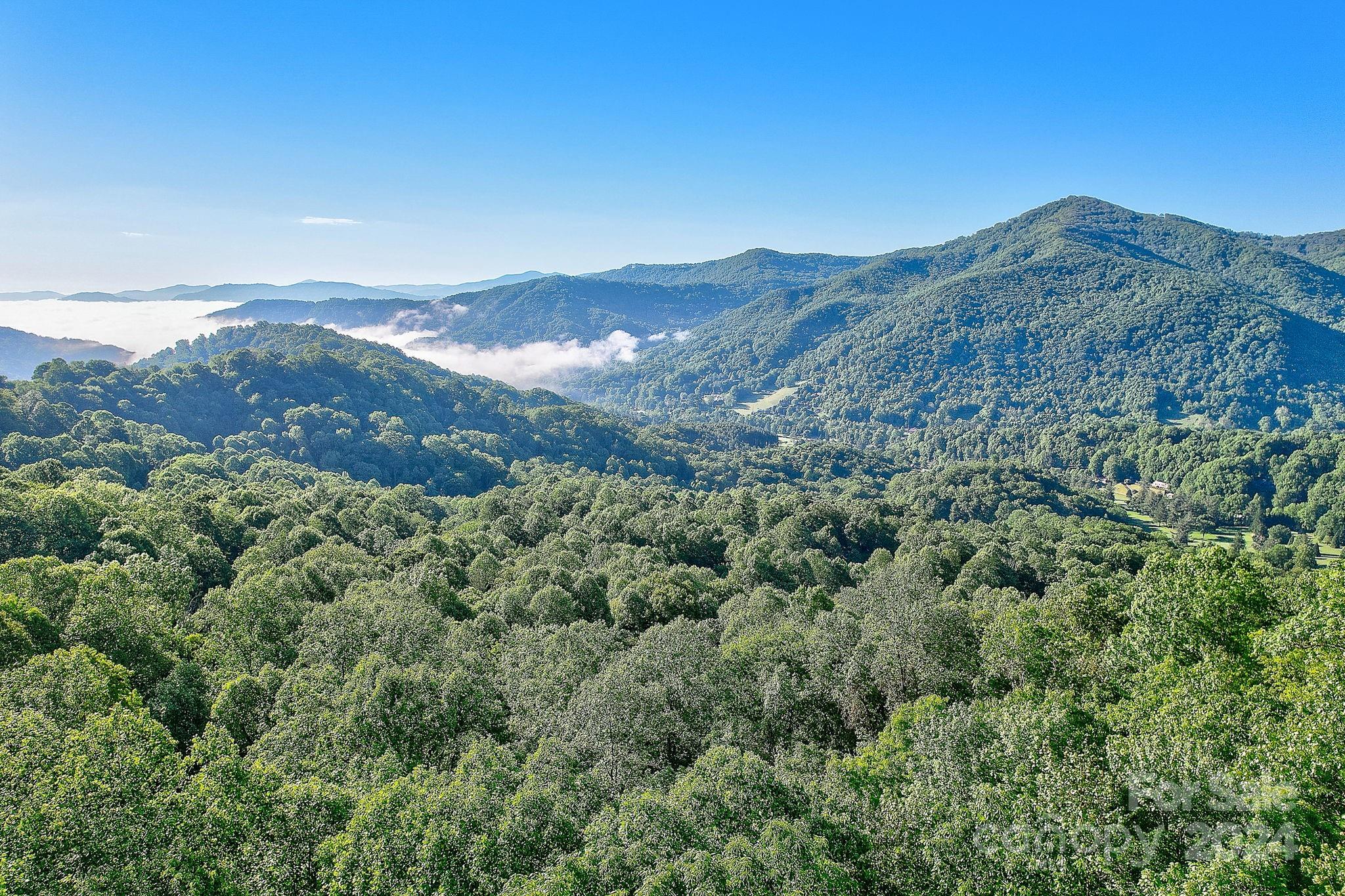 a view of a mountain range with lush green forest