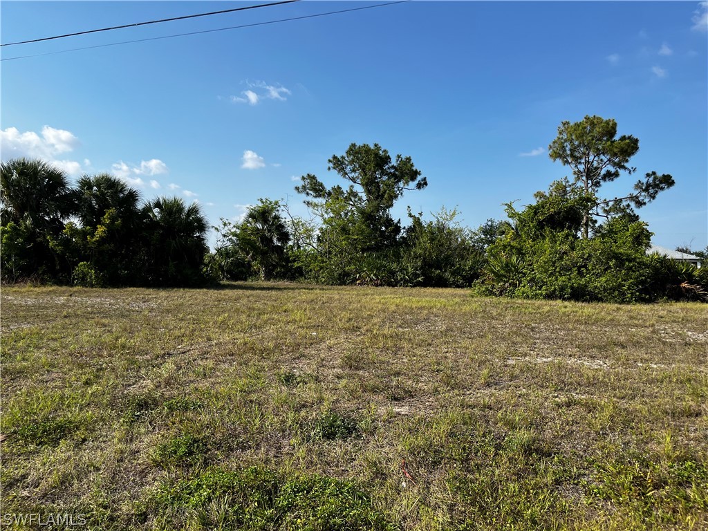 a view of outdoor space and yard