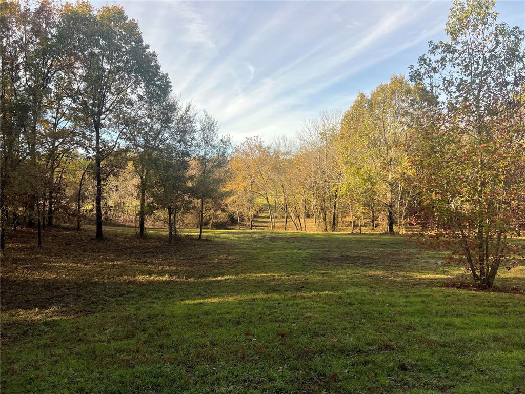 a big yard with trees