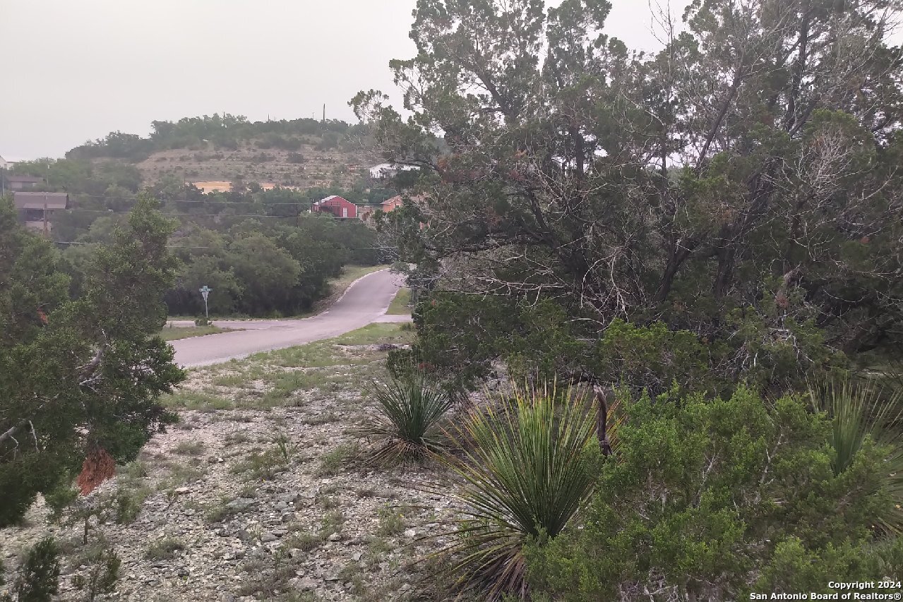 a view of a dry yard