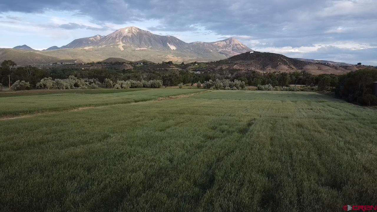 a view of a lush green hillside and a mountain