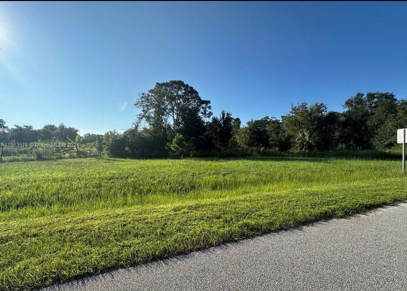 a view of field with grass and trees