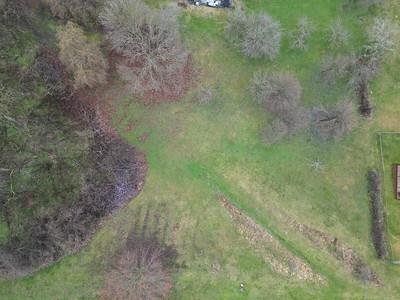 a view of a yard with a trees