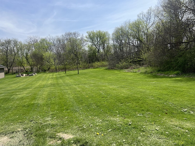 a view of a grassy field with trees in the background