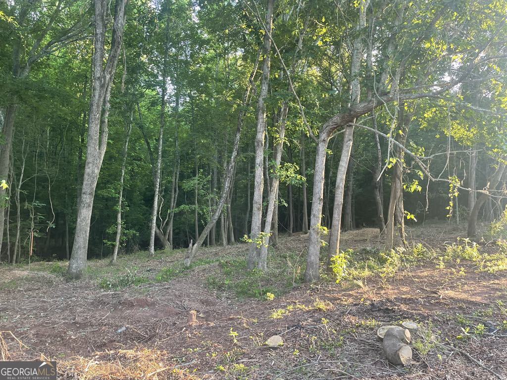 a backyard of of house with lots of trees