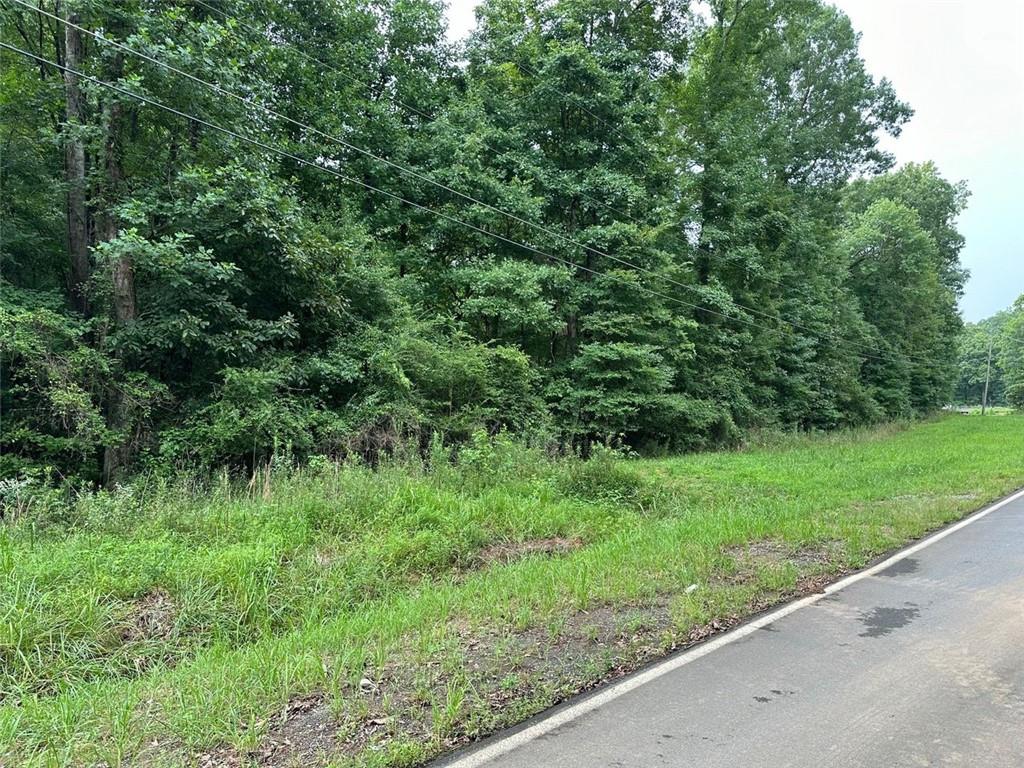 a view of a lush green forest