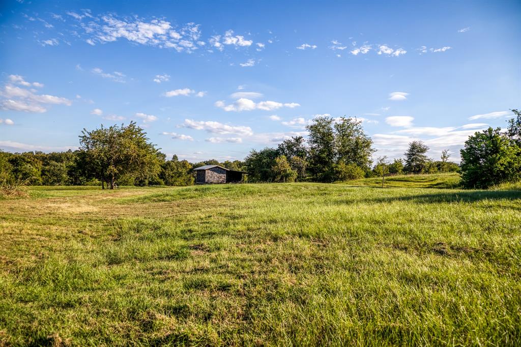 a view of a green field