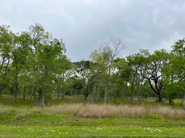 a view of lake with green space