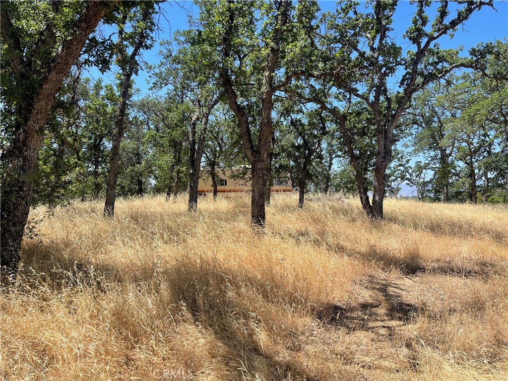 a view of outdoor space with trees