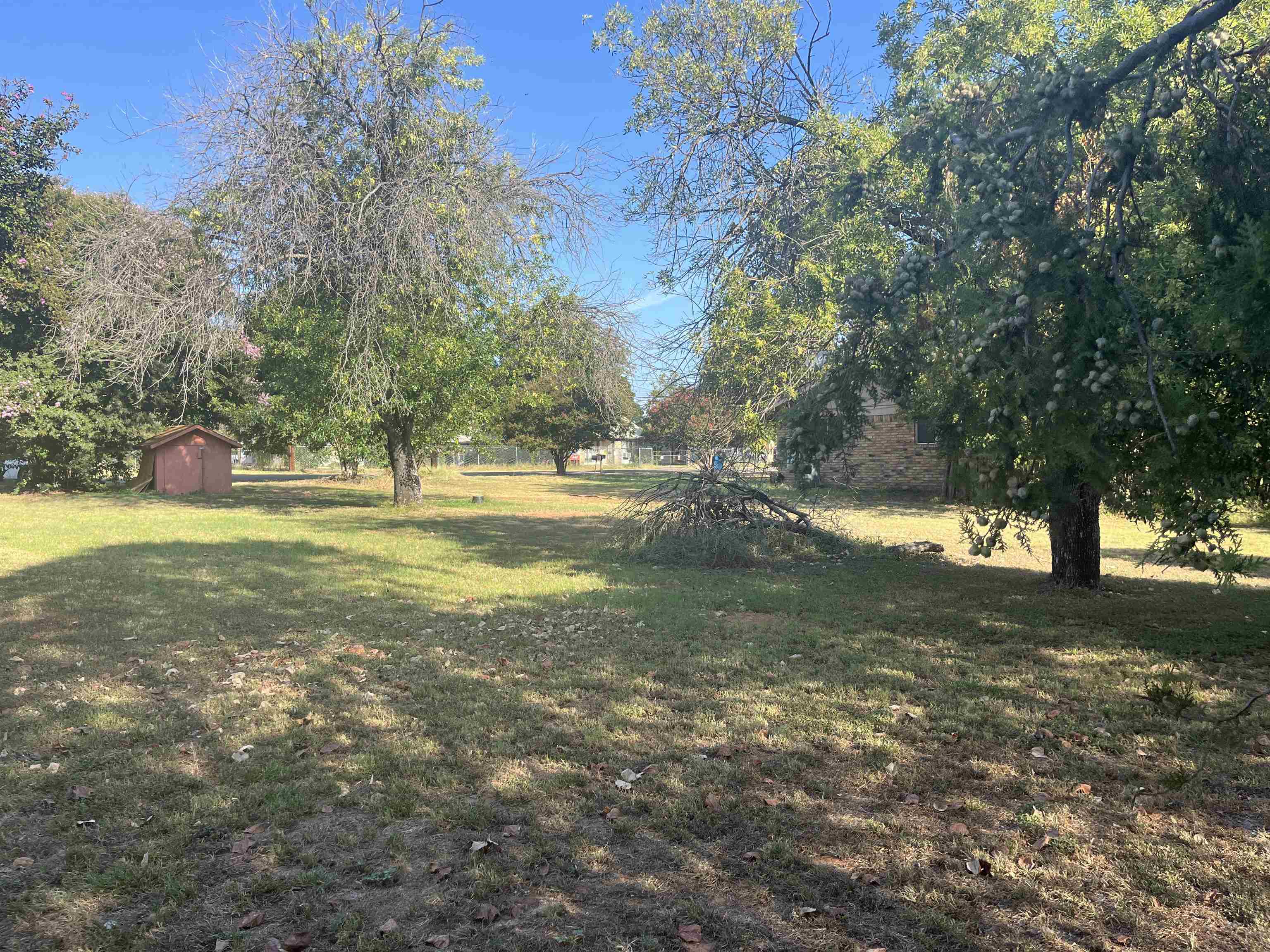 a view of a yard with a large tree