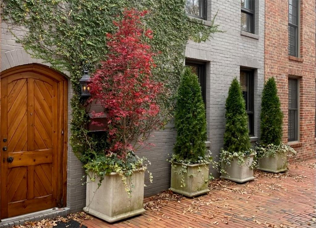 a view of a potted plants on a patio