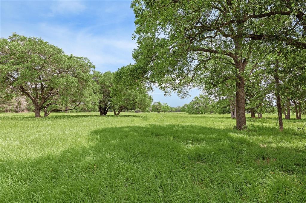 a view of grassy field with benches