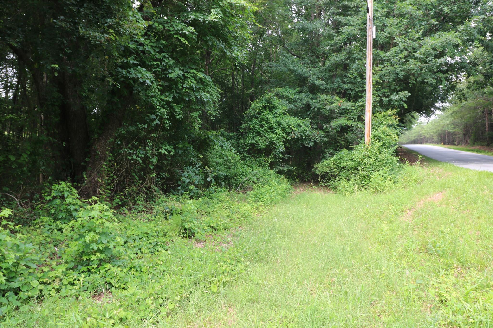 a view of a yard with a tree