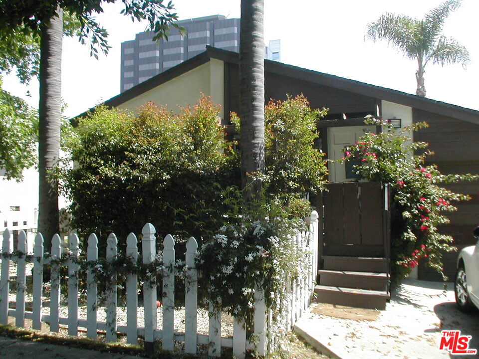 a view of a garden with plants