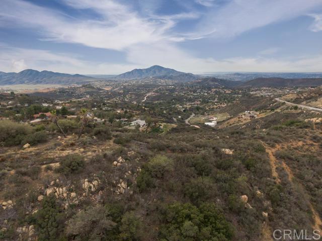 an aerial view of houses covered in trees