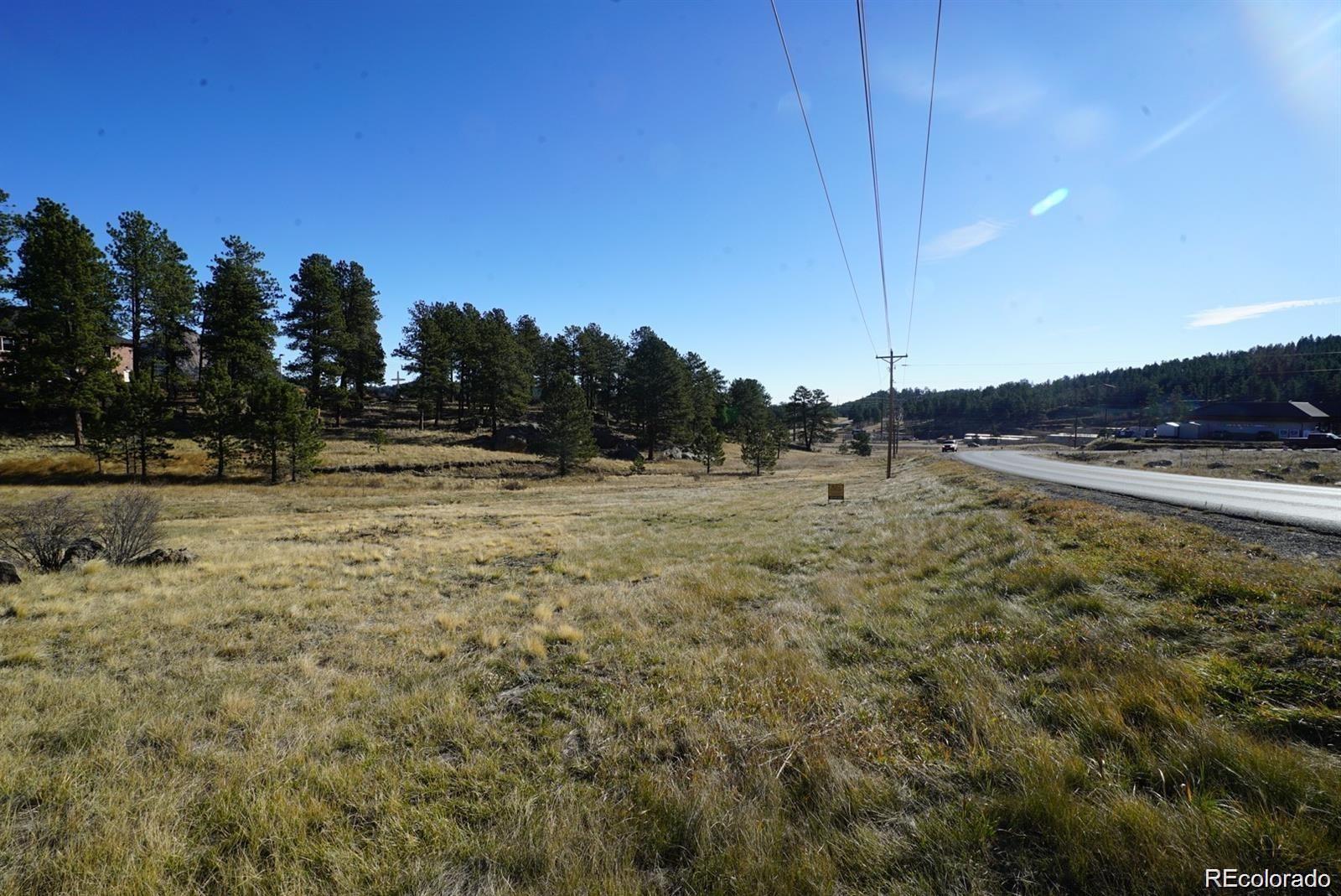 a view of a field with trees in the background