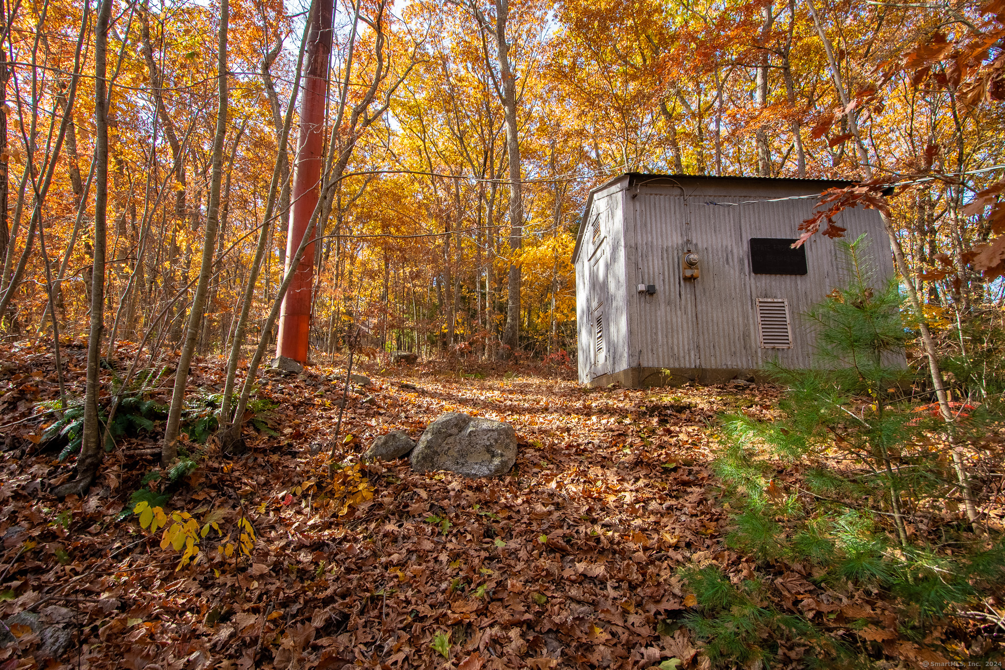 a wooden house with trees in front of it