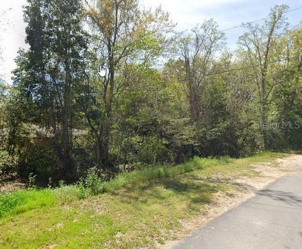 a view of a yard with large trees