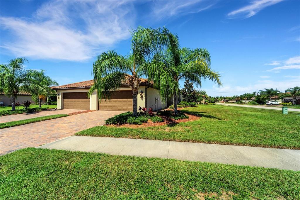 a view of a backyard with palm trees